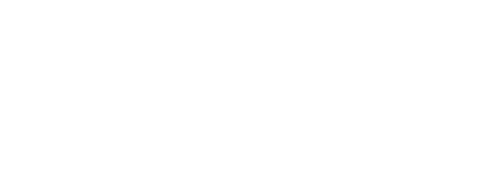 Forum Solidaridad Perú (FSP)
